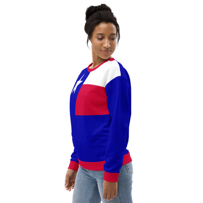 Texas Sweatshirt / Texas Clothing / Texas Flag Clothing