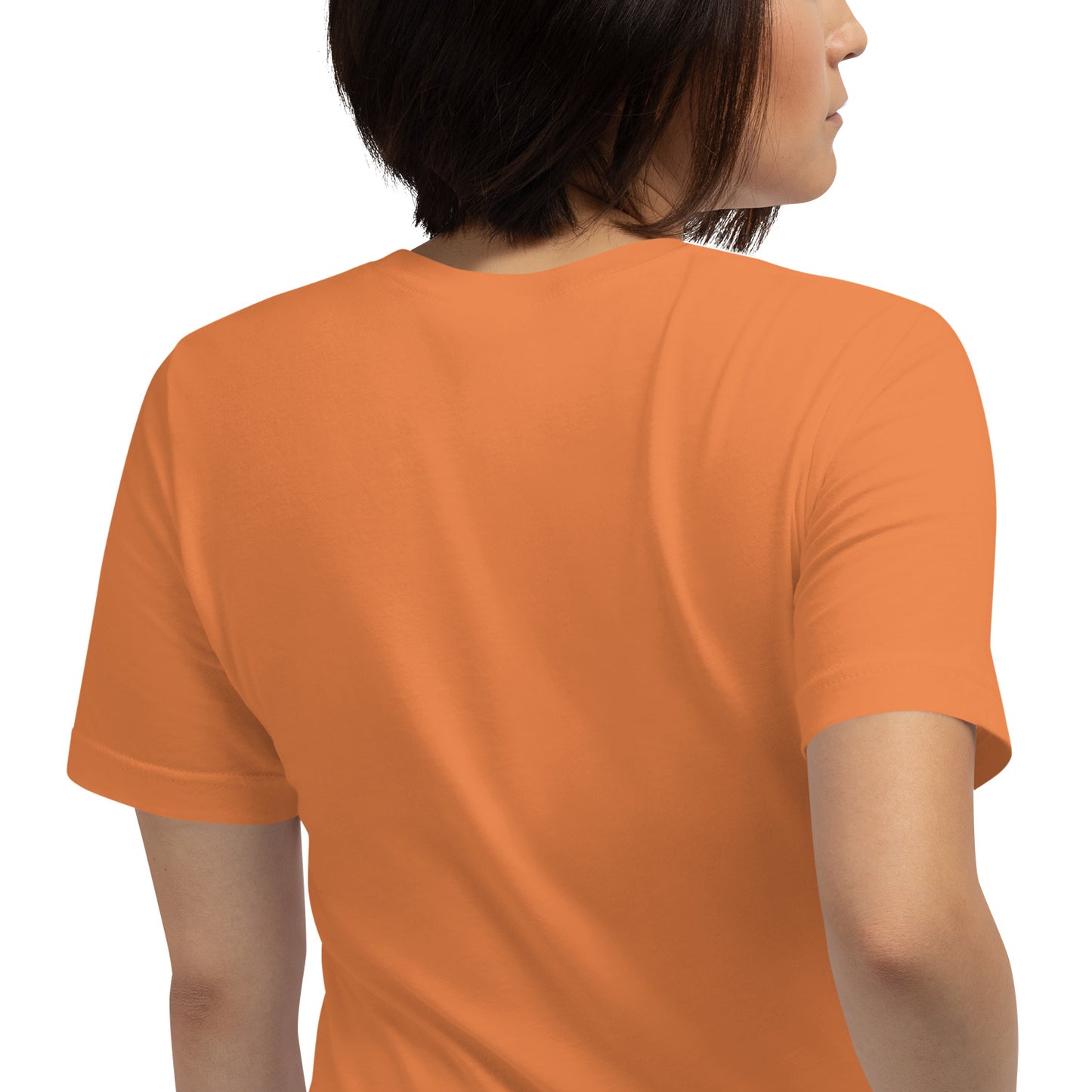 Colors Of The Netherlands Shirt / Holland Dutch Flag Shirt / Humor Shirt